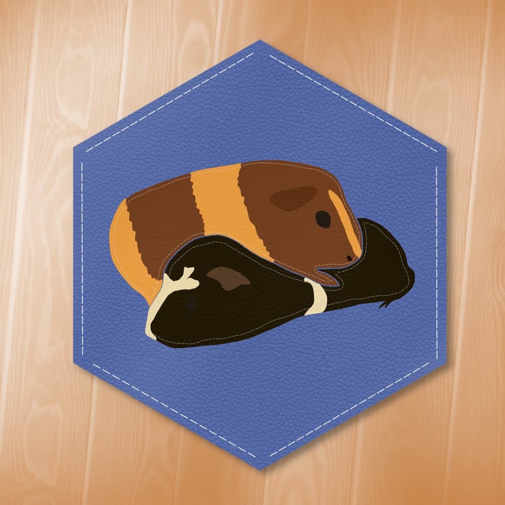 Peanut Butter & Oreo — Portrait of my guinea pigs.