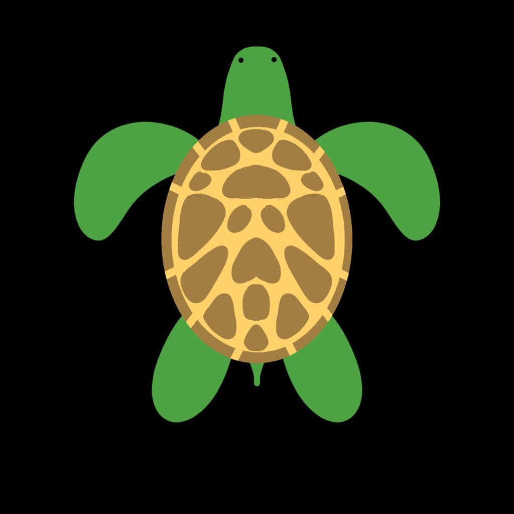 Turtle Twins